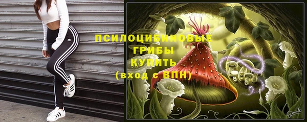 кокаин Белокуриха